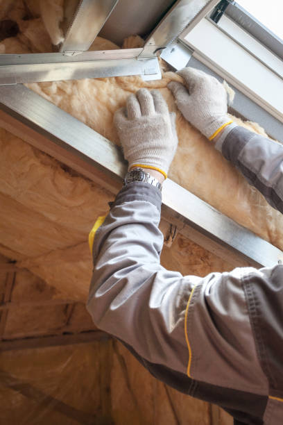 Best Spray Foam Insulation in Iowa, LA