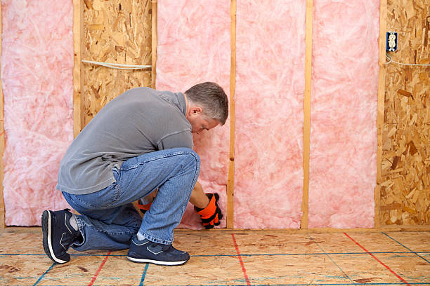Best Insulation Maintenance and Repair in Iowa, LA